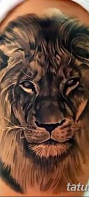 Фото тату голова льва от 08.08.2018 №048 — tattoo head of a lion — tatufoto.com