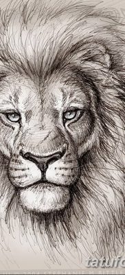 Фото тату голова льва от 08.08.2018 №049 — tattoo head of a lion — tatufoto.com