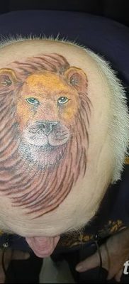 Фото тату голова льва от 08.08.2018 №051 — tattoo head of a lion — tatufoto.com