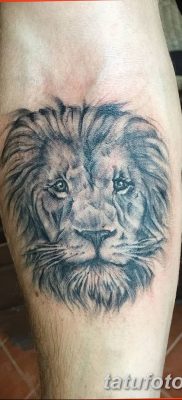 Фото тату голова льва от 08.08.2018 №052 — tattoo head of a lion — tatufoto.com