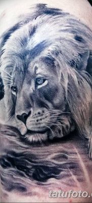 Фото тату голова льва от 08.08.2018 №053 — tattoo head of a lion — tatufoto.com