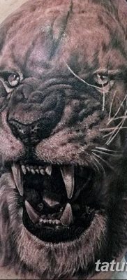 Фото тату голова льва от 08.08.2018 №054 — tattoo head of a lion — tatufoto.com