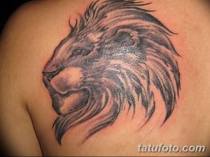 Фото тату льва на плече в стиле blackwork, выполненное с использованием плотных черных заливок и градиентов. Мощный и выразительный дизайн.