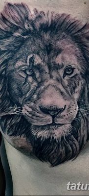 Фото тату голова льва от 08.08.2018 №120 — tattoo head of a lion — tatufoto.com