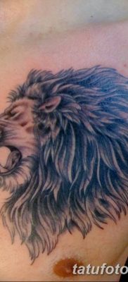 Фото тату голова льва от 08.08.2018 №121 — tattoo head of a lion — tatufoto.com