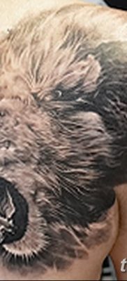 Фото тату голова льва от 08.08.2018 №123 — tattoo head of a lion — tatufoto.com