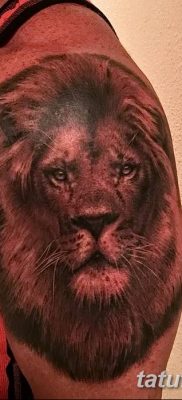 Фото тату голова льва от 08.08.2018 №125 — tattoo head of a lion — tatufoto.com