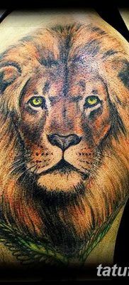 Фото тату голова льва от 08.08.2018 №126 — tattoo head of a lion — tatufoto.com