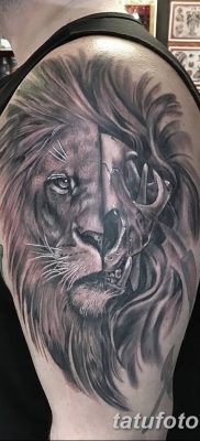 Фото тату голова льва от 08.08.2018 №130 — tattoo head of a lion — tatufoto.com
