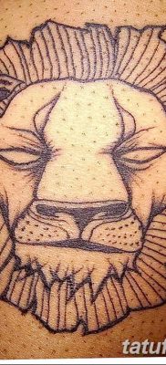 Фото тату голова льва от 08.08.2018 №131 — tattoo head of a lion — tatufoto.com