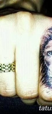Фото тату голова льва от 08.08.2018 №133 — tattoo head of a lion — tatufoto.com