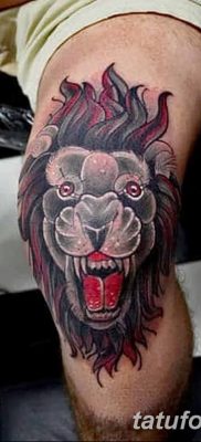 Фото тату голова льва от 08.08.2018 №134 — tattoo head of a lion — tatufoto.com