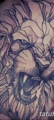 Фото тату голова льва от 08.08.2018 №135 — tattoo head of a lion — tatufoto.com