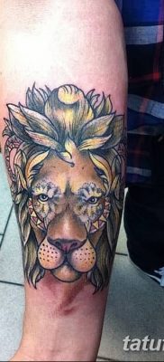 Фото тату голова льва от 08.08.2018 №136 — tattoo head of a lion — tatufoto.com