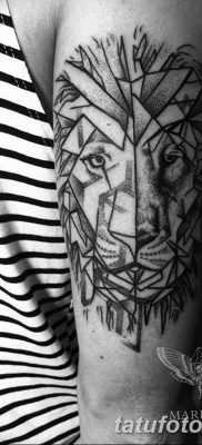 Фото тату голова льва от 08.08.2018 №140 — tattoo head of a lion — tatufoto.com