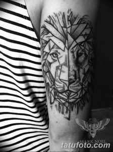 Фото тату голова льва от 08.08.2018 №140 - tattoo head of a lion - tatufoto.com