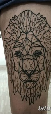 Фото тату голова льва от 08.08.2018 №143 — tattoo head of a lion — tatufoto.com
