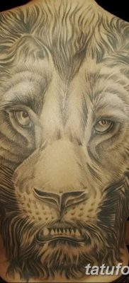 Фото тату голова льва от 08.08.2018 №144 — tattoo head of a lion — tatufoto.com