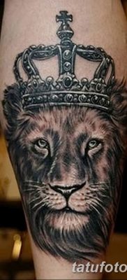 Фото тату голова льва от 08.08.2018 №148 — tattoo head of a lion — tatufoto.com