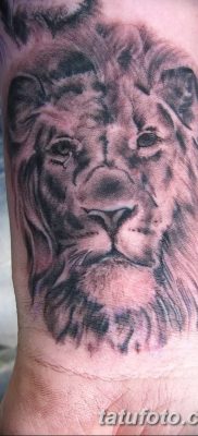 Фото тату голова льва от 08.08.2018 №150 — tattoo head of a lion — tatufoto.com