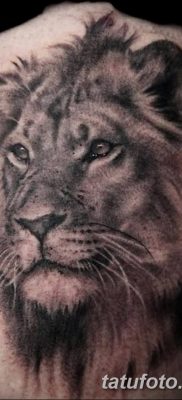 Фото тату голова льва от 08.08.2018 №151 — tattoo head of a lion — tatufoto.com
