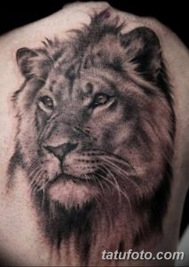 Фото тату голова льва от 08.08.2018 №151 - tattoo head of a lion - tatufoto.com