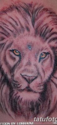 Фото тату голова льва от 08.08.2018 №152 — tattoo head of a lion — tatufoto.com