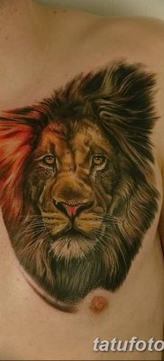 Фото тату голова льва от 08.08.2018 №153 — tattoo head of a lion — tatufoto.com