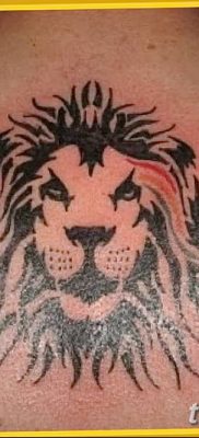 Фото тату голова льва от 08.08.2018 №181 — tattoo head of a lion — tatufoto.com