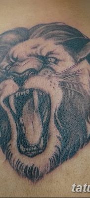 Фото тату голова льва от 08.08.2018 №188 — tattoo head of a lion — tatufoto.com