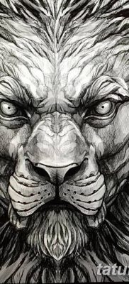 Фото тату голова льва от 08.08.2018 №189 — tattoo head of a lion — tatufoto.com