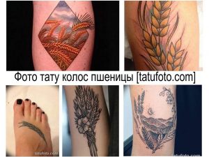 Коллаж из фотографий тату колос пшеницы в разных стилях и на разных частях тела. Идеи для вдохновения и выбора эскиза.