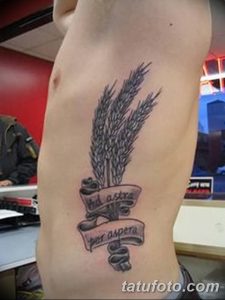 Фото тату колоса пшеницы с надписью 'Ad astra per aspera' на боку. Черно-белый рисунок, минималистичный стиль, вдохновляющий девиз.