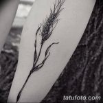 Фото тату колос пшеницы от 07.08.2018 №003 - tattoos ear of wheat - tatufoto.com