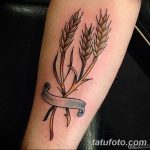 Фото тату колос пшеницы от 07.08.2018 №007 - tattoos ear of wheat - tatufoto.com