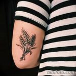 Фото тату колос пшеницы от 07.08.2018 №010 - tattoos ear of wheat - tatufoto.com