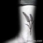 Фото тату колос пшеницы от 07.08.2018 №013 - tattoos ear of wheat - tatufoto.com