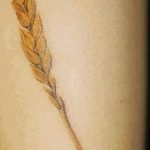 Фото тату колос пшеницы от 07.08.2018 №018 - tattoos ear of wheat - tatufoto.com