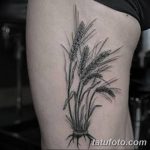 Фото тату колос пшеницы от 07.08.2018 №022 - tattoos ear of wheat - tatufoto.com