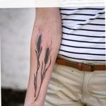 Фото тату колос пшеницы от 07.08.2018 №023 - tattoos ear of wheat - tatufoto.com