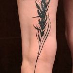 Фото тату колос пшеницы от 07.08.2018 №027 - tattoos ear of wheat - tatufoto.com