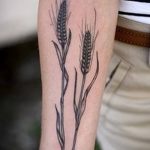 Фото тату колос пшеницы от 07.08.2018 №029 - tattoos ear of wheat - tatufoto.com