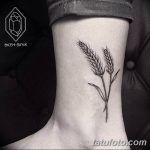Фото тату колос пшеницы от 07.08.2018 №034 - tattoos ear of wheat - tatufoto.com