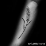 Фото тату колос пшеницы от 07.08.2018 №037 - tattoos ear of wheat - tatufoto.com