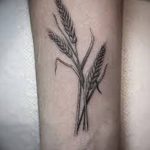 Фото тату колос пшеницы от 07.08.2018 №039 - tattoos ear of wheat - tatufoto.com