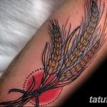 Фото тату колос пшеницы от 07.08.2018 №041 - tattoos ear of wheat - tatufoto.com
