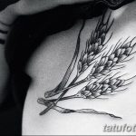 Фото тату колос пшеницы от 07.08.2018 №044 - tattoos ear of wheat - tatufoto.com