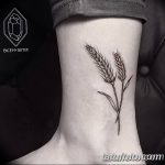 Фото тату колос пшеницы от 07.08.2018 №052 - tattoos ear of wheat - tatufoto.com