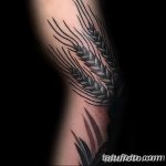 Фото тату колос пшеницы от 07.08.2018 №053 - tattoos ear of wheat - tatufoto.com