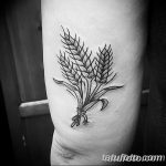 Фото тату колос пшеницы от 07.08.2018 №054 - tattoos ear of wheat - tatufoto.com